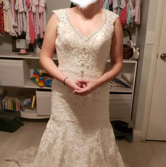 Wedding Dress / Gown - Picture 1 of 6